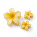 Clip - Buttercup - Gatz